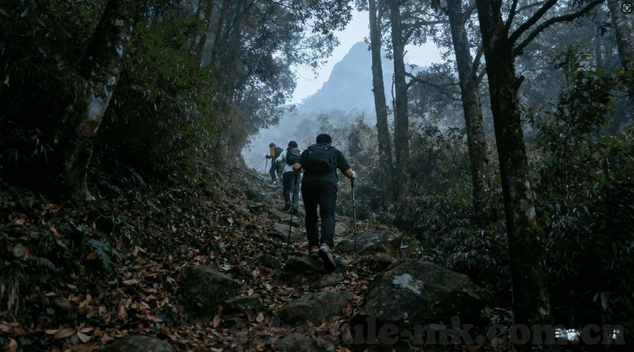 世界杯都在哪里投注-世界杯投注的全球热点与趋势